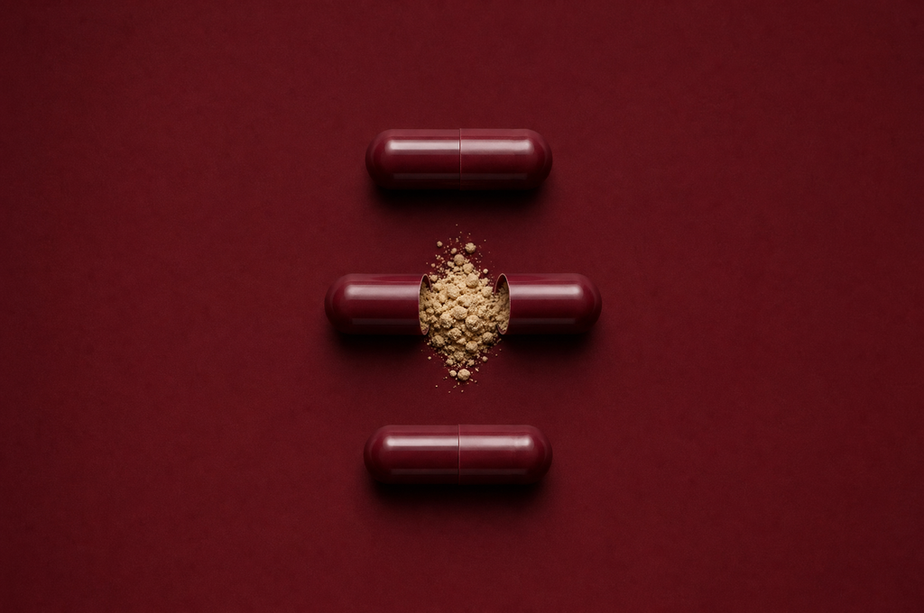 Anchor capsule anatomy, oxblood red shell with beige powder
